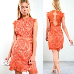 Reiss Maika Open Back Crochet Lace Dress